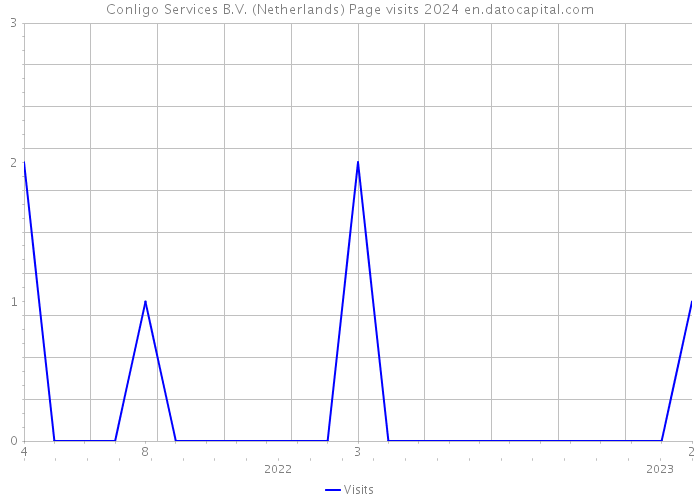 Conligo Services B.V. (Netherlands) Page visits 2024 