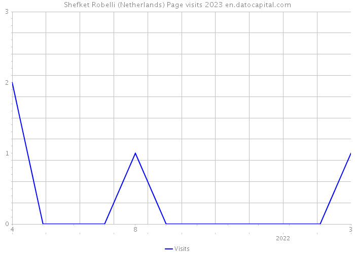Shefket Robelli (Netherlands) Page visits 2023 