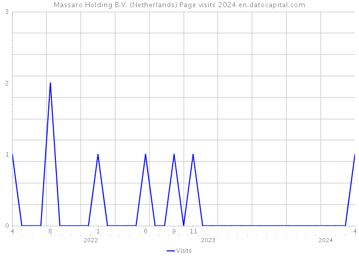 Massaro Holding B.V. (Netherlands) Page visits 2024 