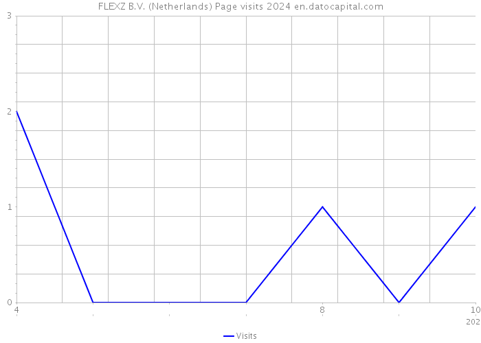 FLEXZ B.V. (Netherlands) Page visits 2024 