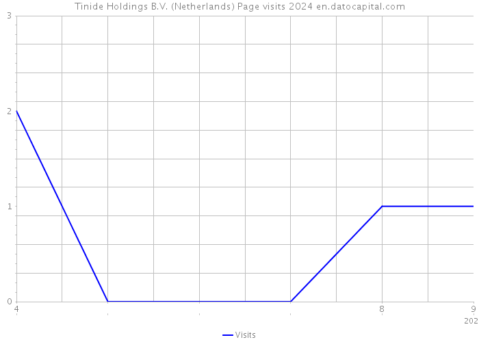 Tinide Holdings B.V. (Netherlands) Page visits 2024 