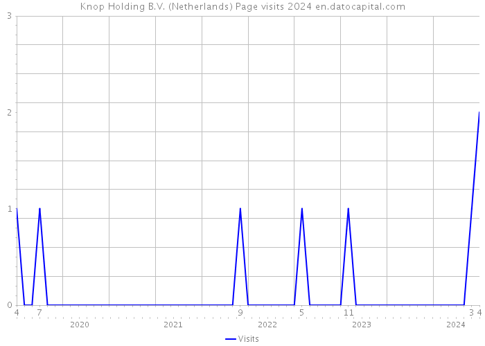 Knop Holding B.V. (Netherlands) Page visits 2024 