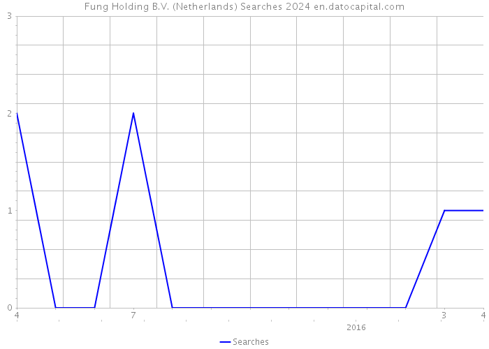 Fung Holding B.V. (Netherlands) Searches 2024 