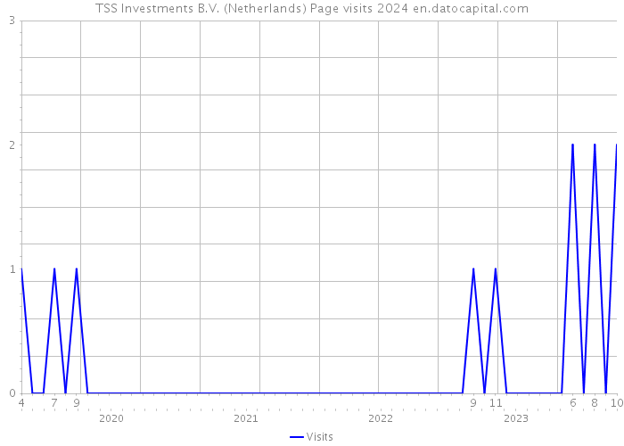 TSS Investments B.V. (Netherlands) Page visits 2024 