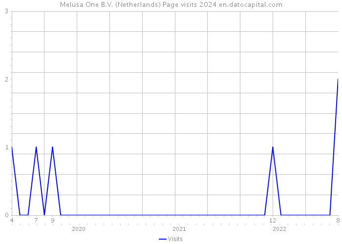 Melusa One B.V. (Netherlands) Page visits 2024 