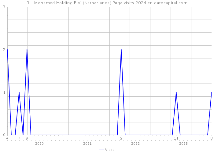 R.I. Mohamed Holding B.V. (Netherlands) Page visits 2024 