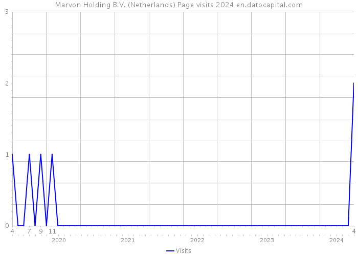 Marvon Holding B.V. (Netherlands) Page visits 2024 