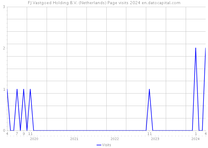 FJ Vastgoed Holding B.V. (Netherlands) Page visits 2024 