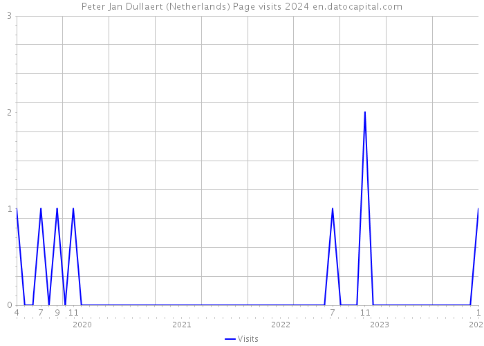 Peter Jan Dullaert (Netherlands) Page visits 2024 