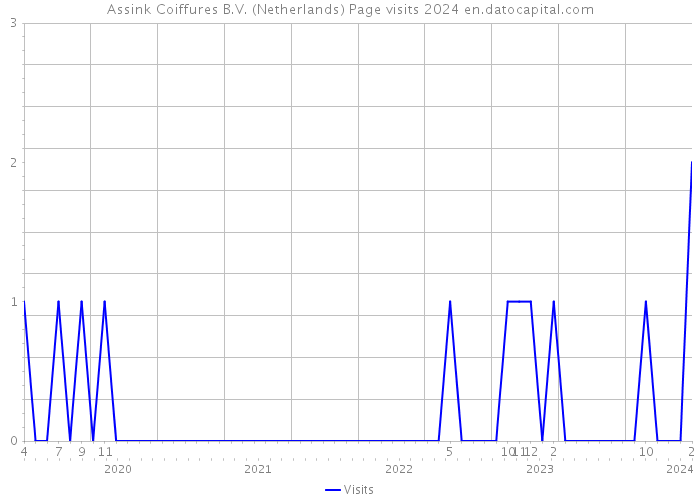 Assink Coiffures B.V. (Netherlands) Page visits 2024 