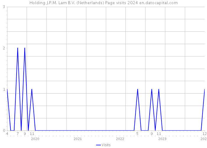Holding J.P.M. Lam B.V. (Netherlands) Page visits 2024 