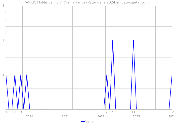 WP GG Holdings II B.V. (Netherlands) Page visits 2024 