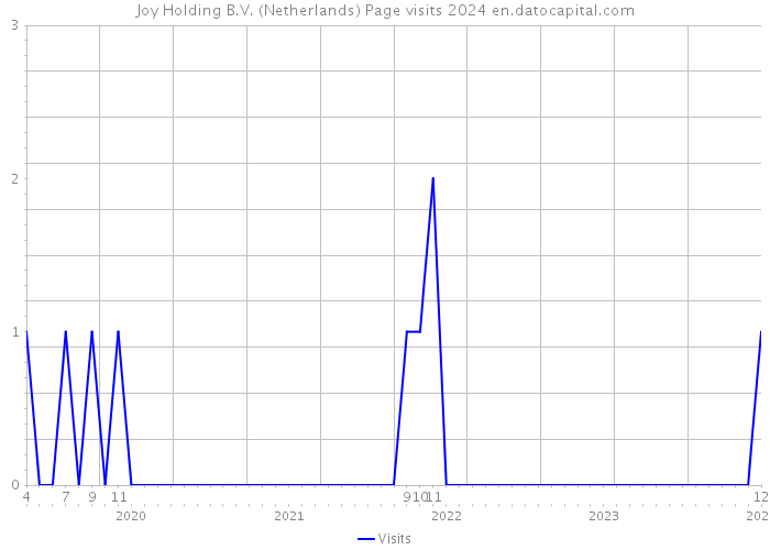Joy Holding B.V. (Netherlands) Page visits 2024 