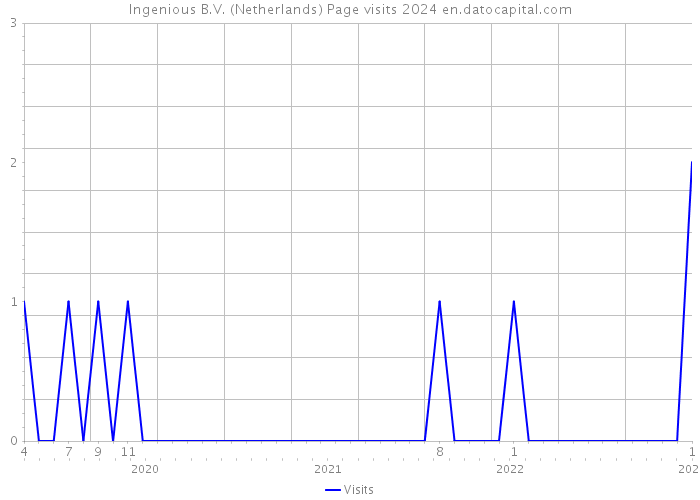 Ingenious B.V. (Netherlands) Page visits 2024 