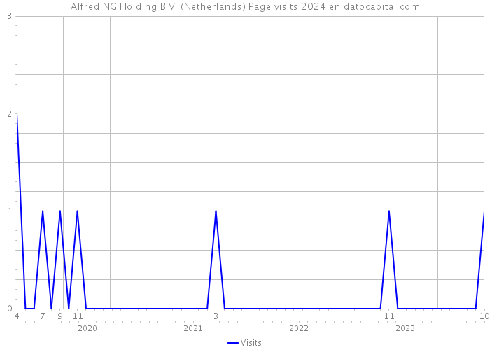 Alfred NG Holding B.V. (Netherlands) Page visits 2024 