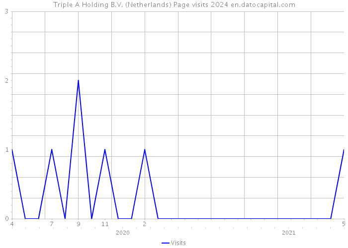 Triple A Holding B.V. (Netherlands) Page visits 2024 