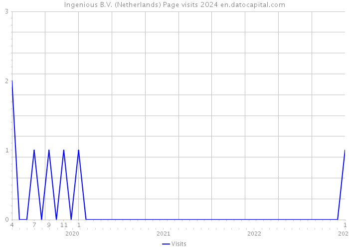 Ingenious B.V. (Netherlands) Page visits 2024 