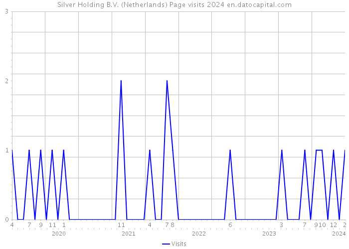 Silver Holding B.V. (Netherlands) Page visits 2024 