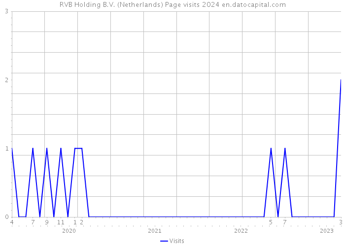 RVB Holding B.V. (Netherlands) Page visits 2024 