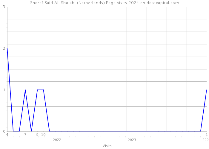 Sharef Said Ali Shalabi (Netherlands) Page visits 2024 