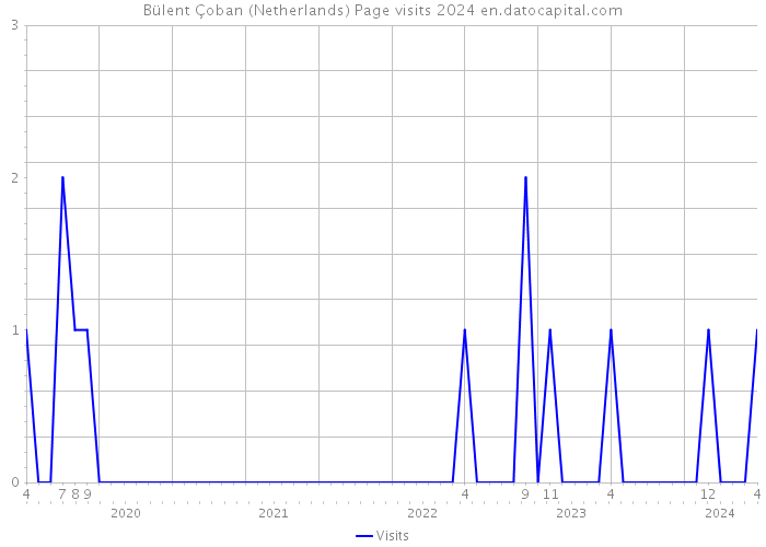 Bülent Çoban (Netherlands) Page visits 2024 