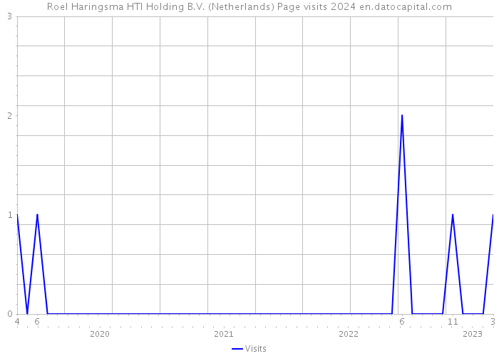 Roel Haringsma HTI Holding B.V. (Netherlands) Page visits 2024 