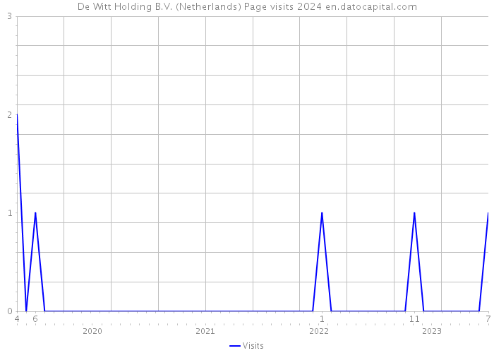 De Witt Holding B.V. (Netherlands) Page visits 2024 