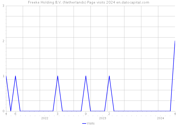 Freeke Holding B.V. (Netherlands) Page visits 2024 