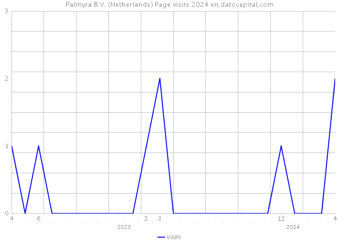 Palmyra B.V. (Netherlands) Page visits 2024 