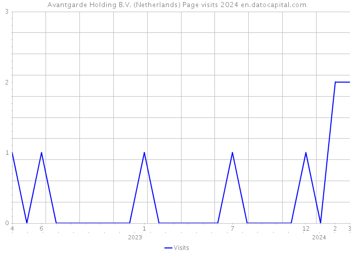 Avantgarde Holding B.V. (Netherlands) Page visits 2024 