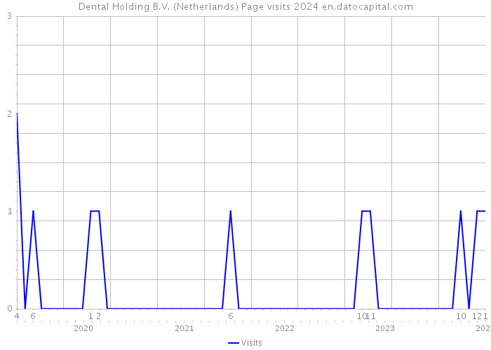 Dental Holding B.V. (Netherlands) Page visits 2024 