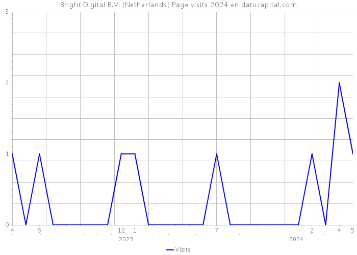 Bright Digital B.V. (Netherlands) Page visits 2024 