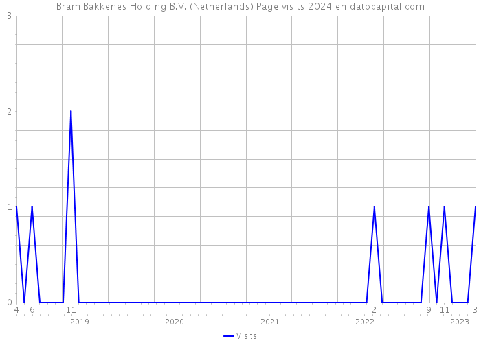 Bram Bakkenes Holding B.V. (Netherlands) Page visits 2024 