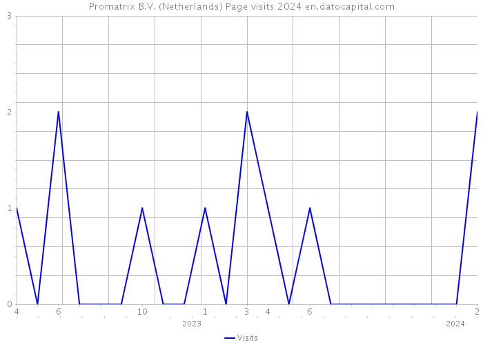 Promatrix B.V. (Netherlands) Page visits 2024 