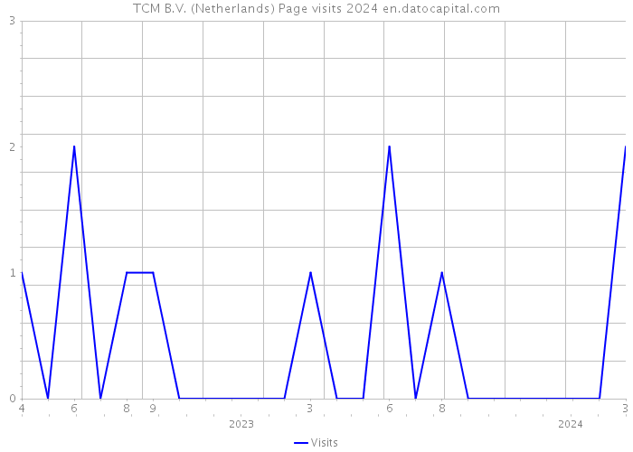 TCM B.V. (Netherlands) Page visits 2024 