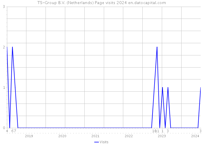 TS-Group B.V. (Netherlands) Page visits 2024 