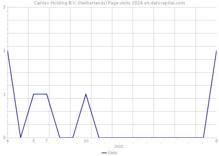 Carilex Holding B.V. (Netherlands) Page visits 2024 