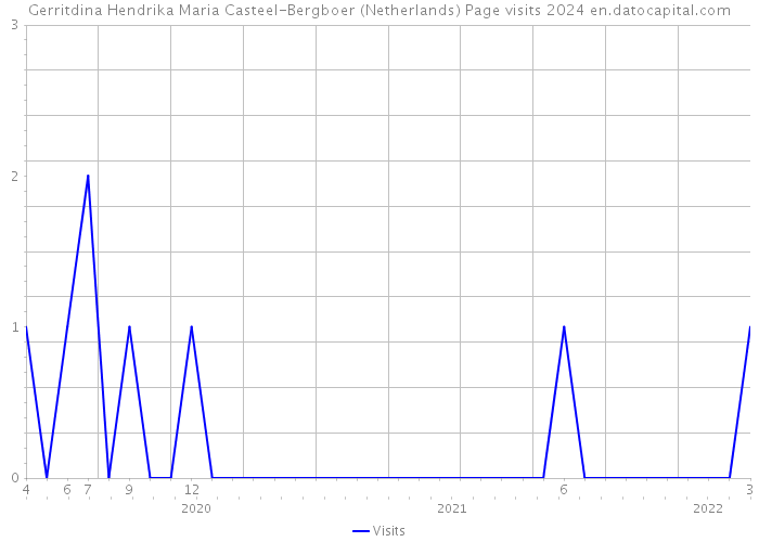 Gerritdina Hendrika Maria Casteel-Bergboer (Netherlands) Page visits 2024 