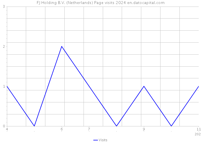 FJ Holding B.V. (Netherlands) Page visits 2024 