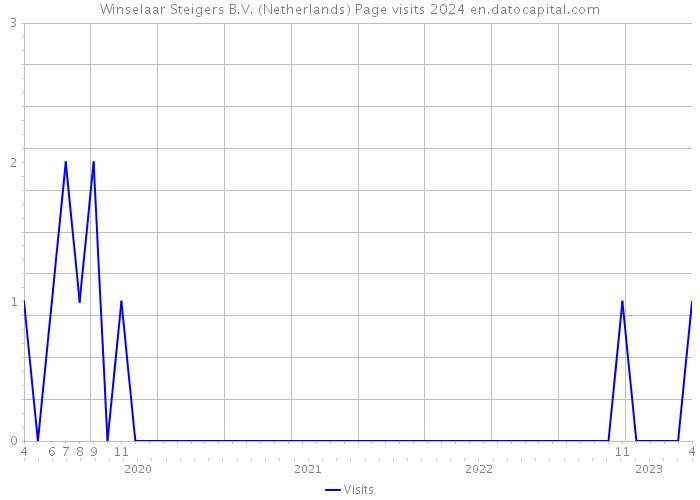 Winselaar Steigers B.V. (Netherlands) Page visits 2024 