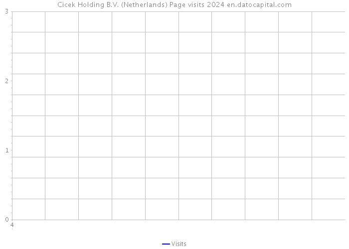 Cicek Holding B.V. (Netherlands) Page visits 2024 