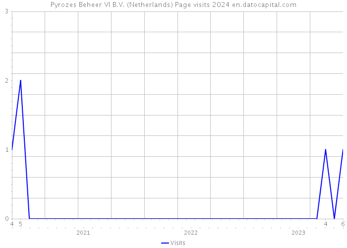 Pyrozes Beheer VI B.V. (Netherlands) Page visits 2024 