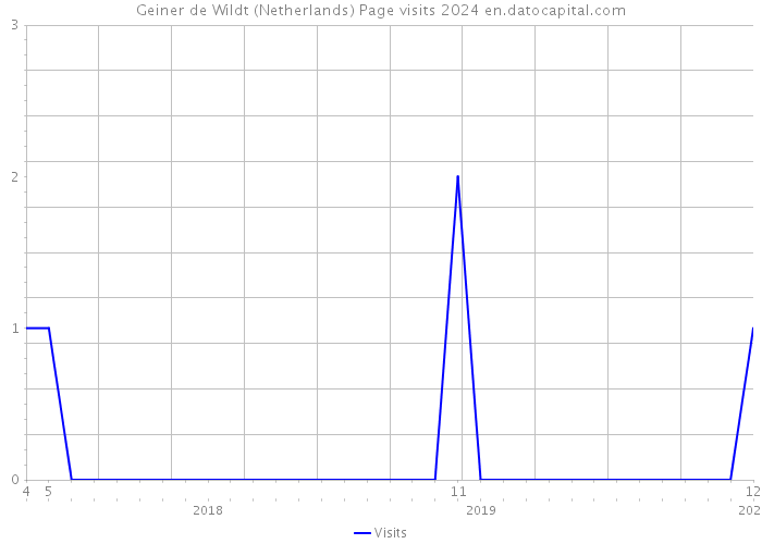 Geiner de Wildt (Netherlands) Page visits 2024 