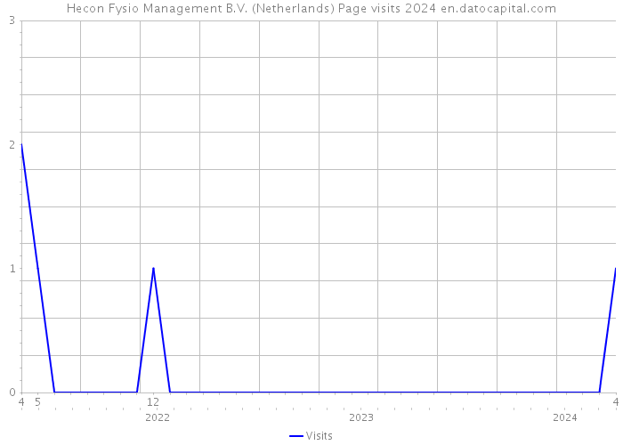 Hecon Fysio Management B.V. (Netherlands) Page visits 2024 