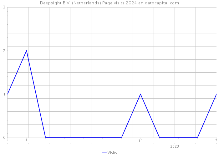Deepsight B.V. (Netherlands) Page visits 2024 