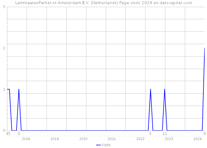 LaminaatenParket.nl Amsterdam B.V. (Netherlands) Page visits 2024 