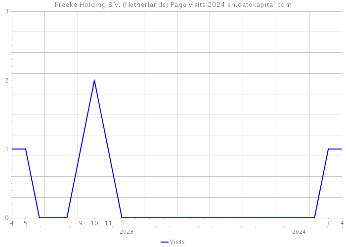 Freeke Holding B.V. (Netherlands) Page visits 2024 