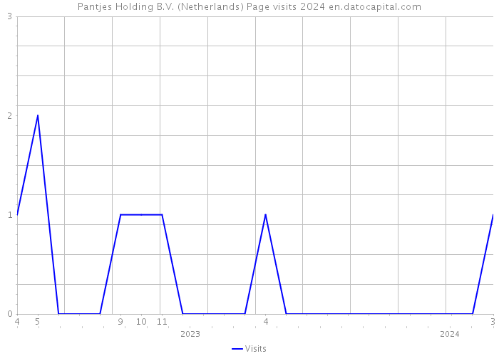 Pantjes Holding B.V. (Netherlands) Page visits 2024 