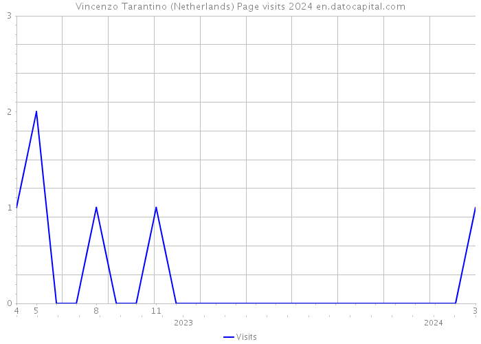Vincenzo Tarantino (Netherlands) Page visits 2024 