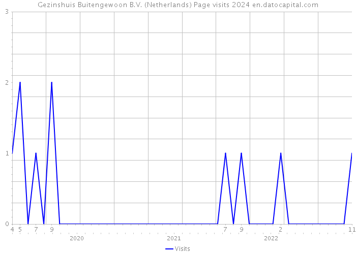 Gezinshuis Buitengewoon B.V. (Netherlands) Page visits 2024 